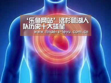 乐鱼中国体育