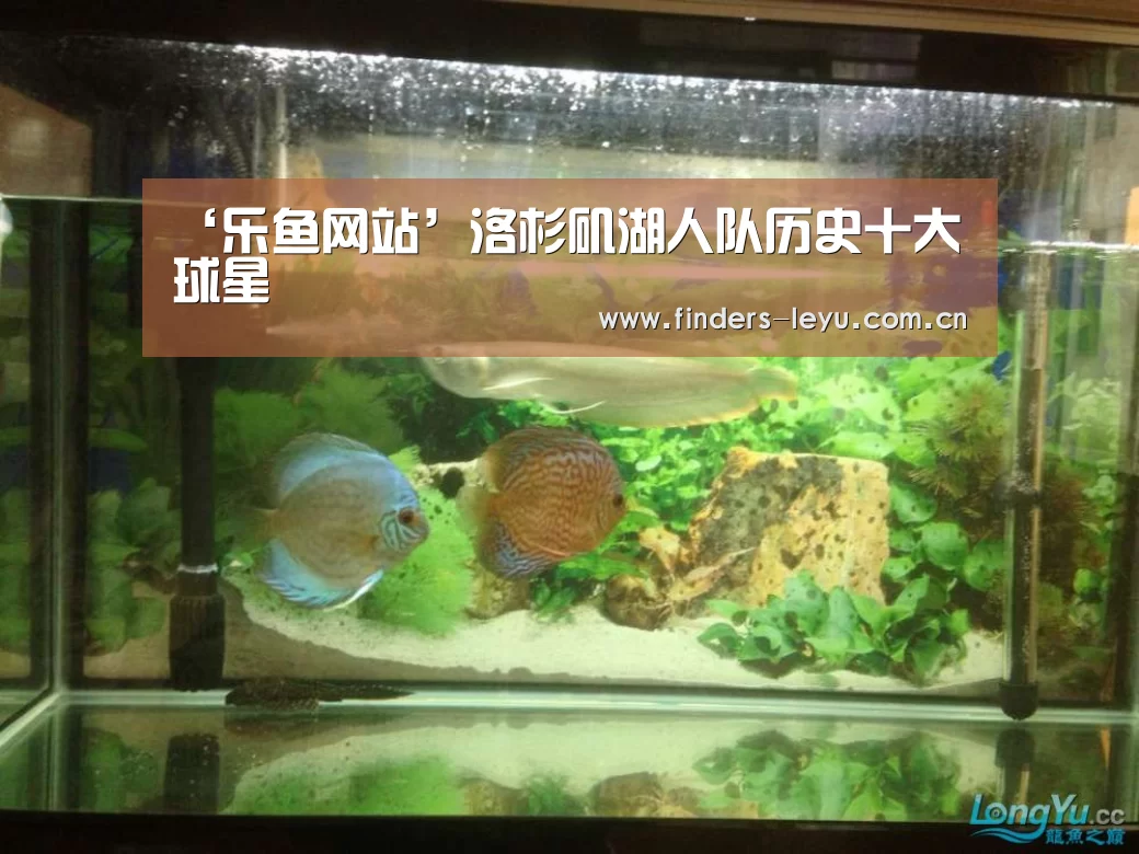 乐鱼体育