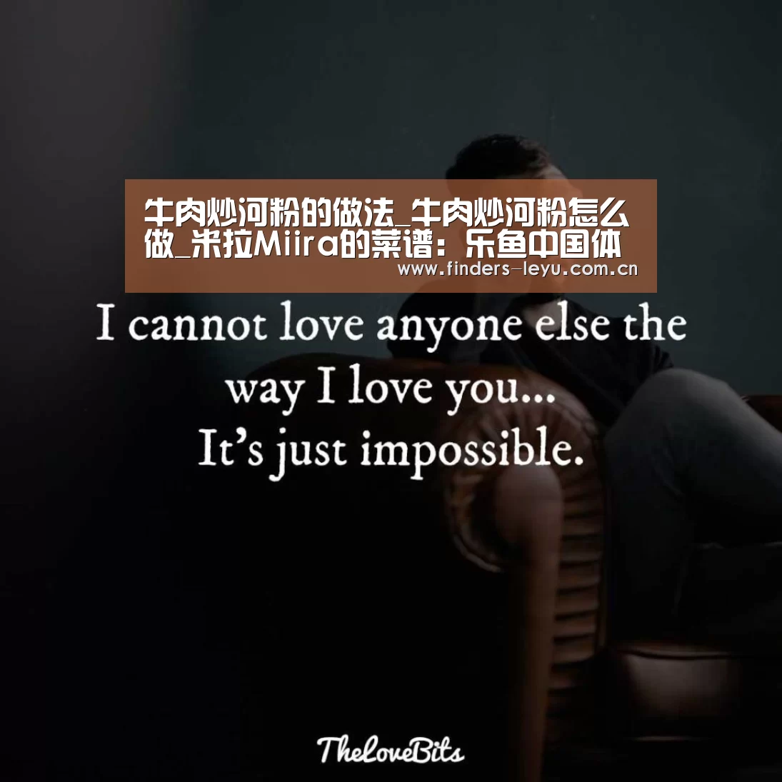 乐鱼体育