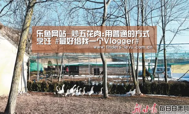 乐鱼体育