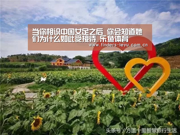 乐鱼网站