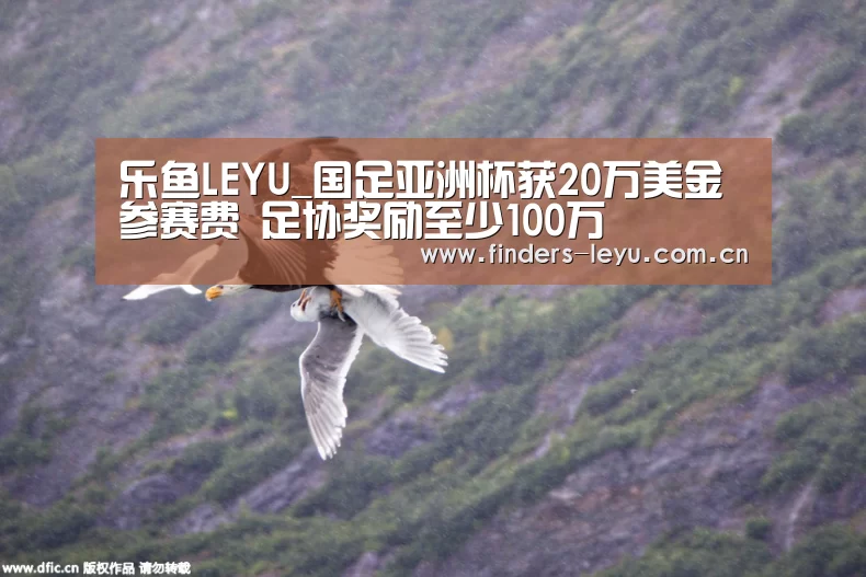 乐鱼中国体育