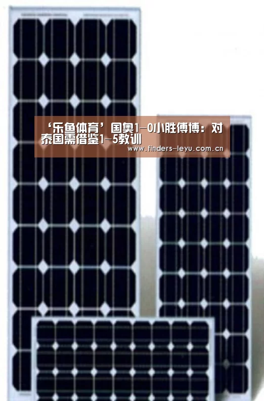 乐鱼LEYU
