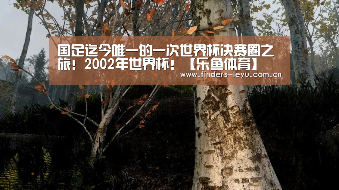 国足迄今唯一的一次世界杯决赛圈之旅!2002年世界杯!【乐鱼体育】(图3) 乐鱼中国体育